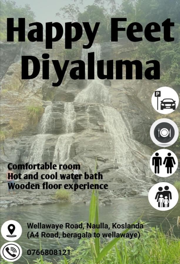 Bed and Breakfast Happy Feet Diyaluma Koslanda Экстерьер фото